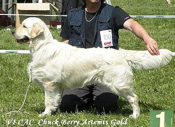 gr_chuck_berry_artemis_gold