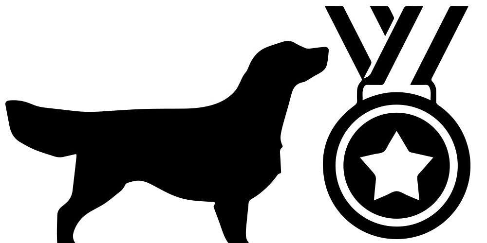 dogshow