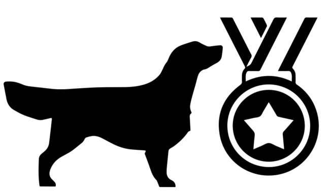 dogshow