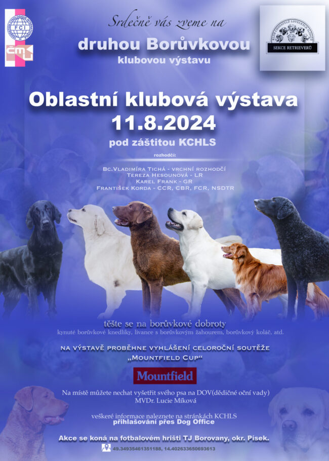 letacek kv boruvkova2